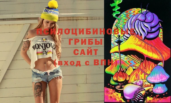 2c-b Пролетарск