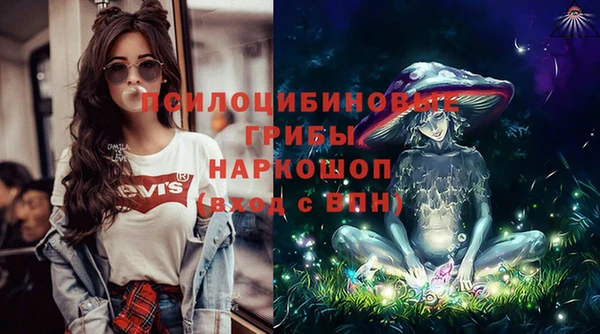 молекула духа Белокуриха