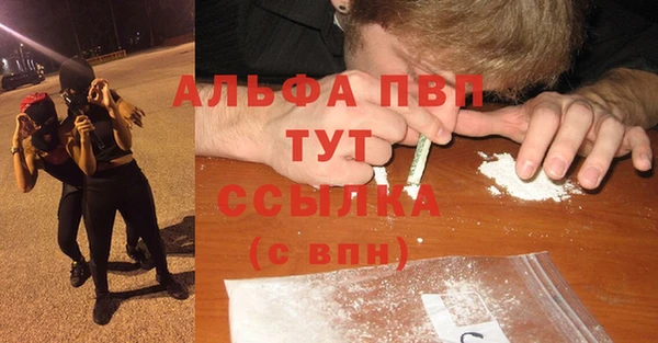 молекула духа Белокуриха