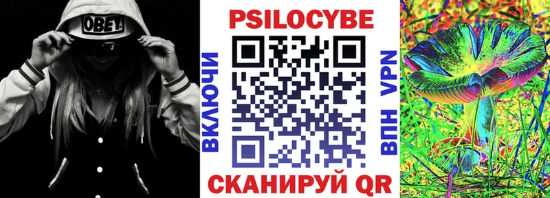 Галлюциногенные грибы Cubensis  Шимановск 